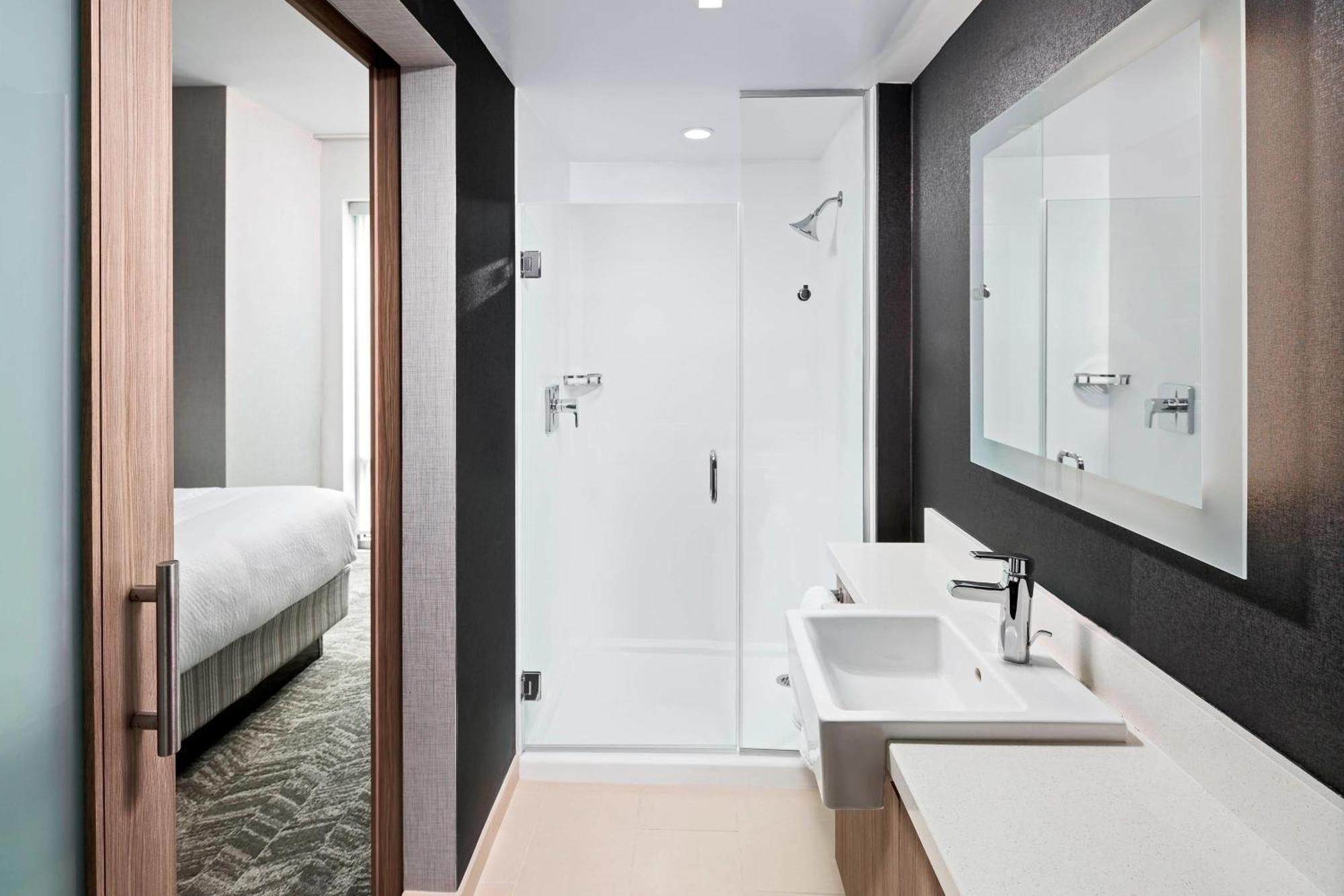 Springhill Suites By Marriott Greenville Downtown Dış mekan fotoğraf